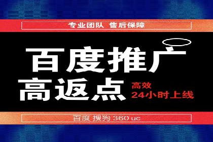 某电商平台的SEM推广实践与效果展示